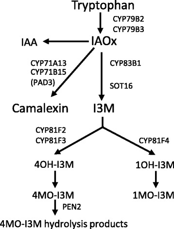 Fig. 3