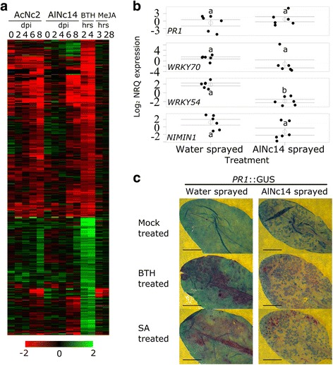 Fig. 8