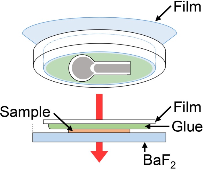 Fig 2