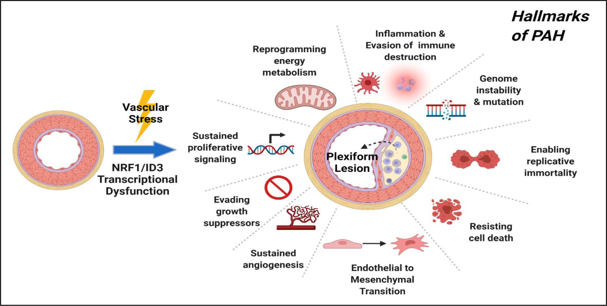 Figure 4: