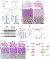 Fig. 8 |