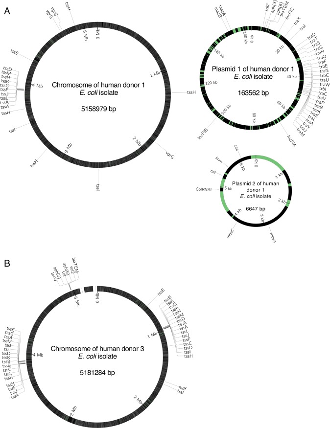 Fig 4