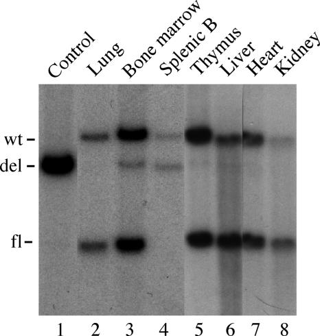 Fig. 6.