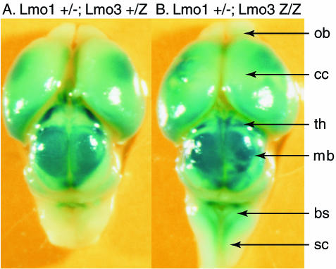 FIG. 3.