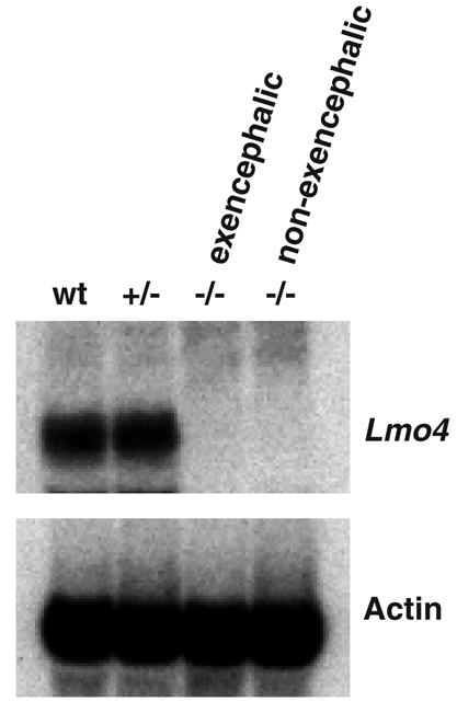 FIG. 7.