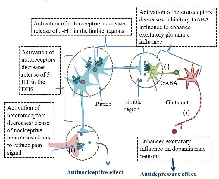 Fig. (3)