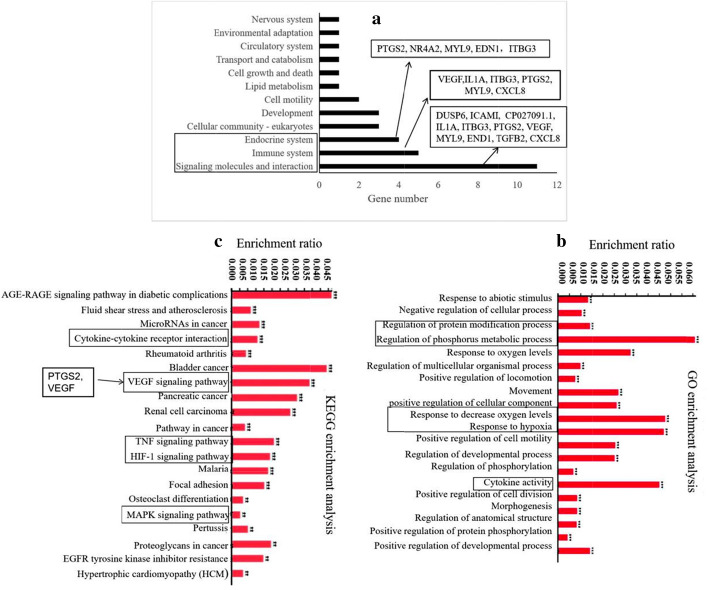 Involvement of the VEGF signaling pathway in immunosuppression and ...