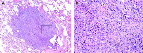 Figure 27