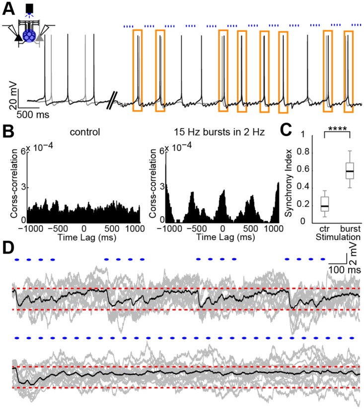 Fig 6