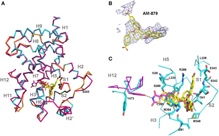 Figure 7