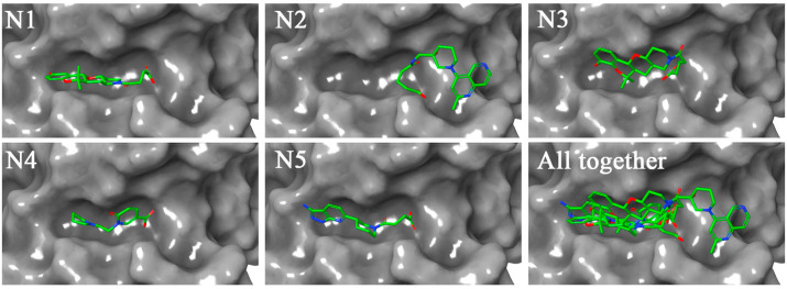 Fig. 4