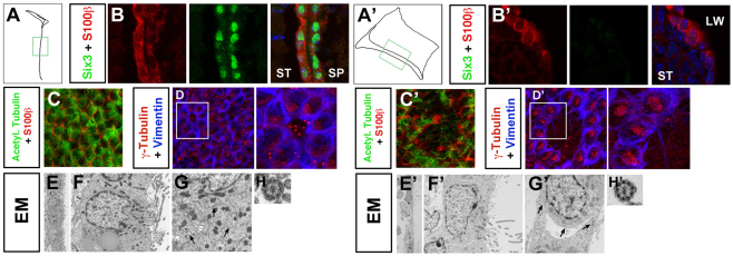 Fig. 3.