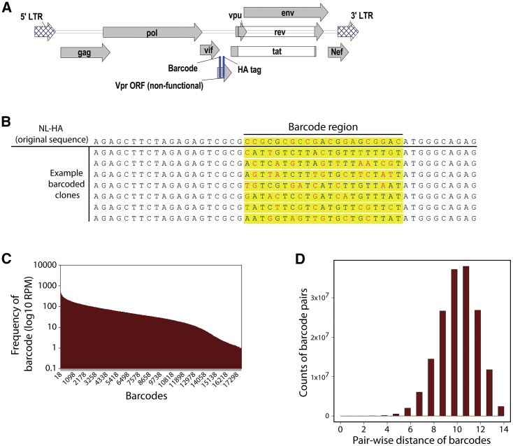 Figure 1