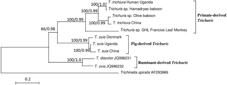 Fig 2