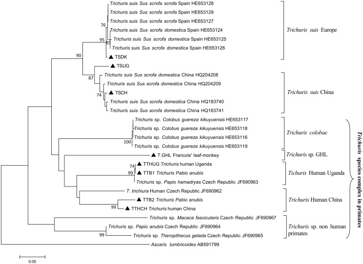 Fig 3