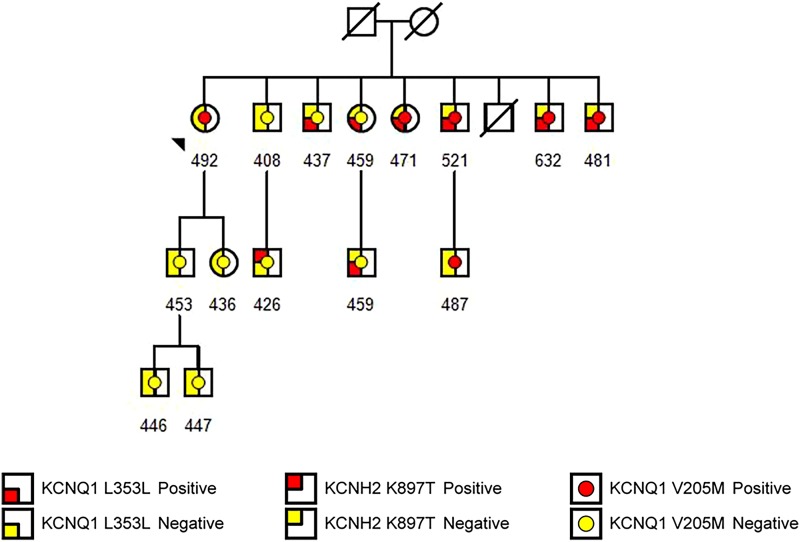 Figure 3