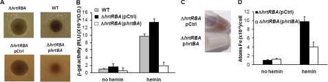 FIGURE 5.