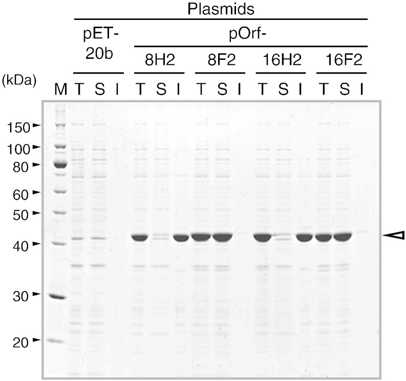 Fig. 3