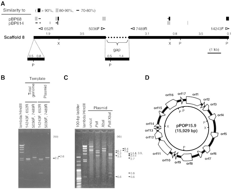 Fig. 1