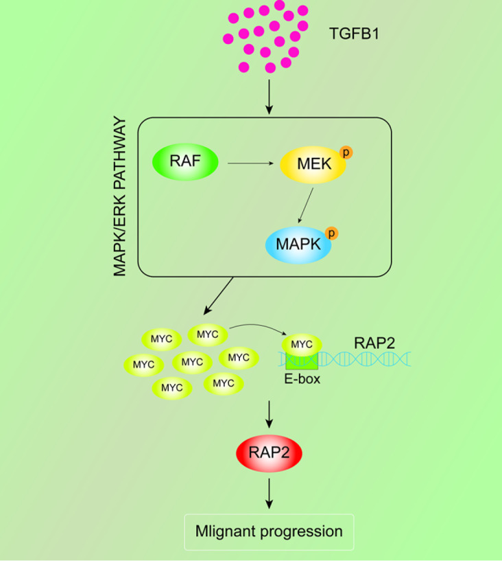 
Figure6
