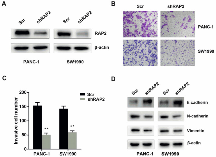 
Figure2
