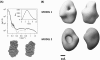 FIGURE 3.