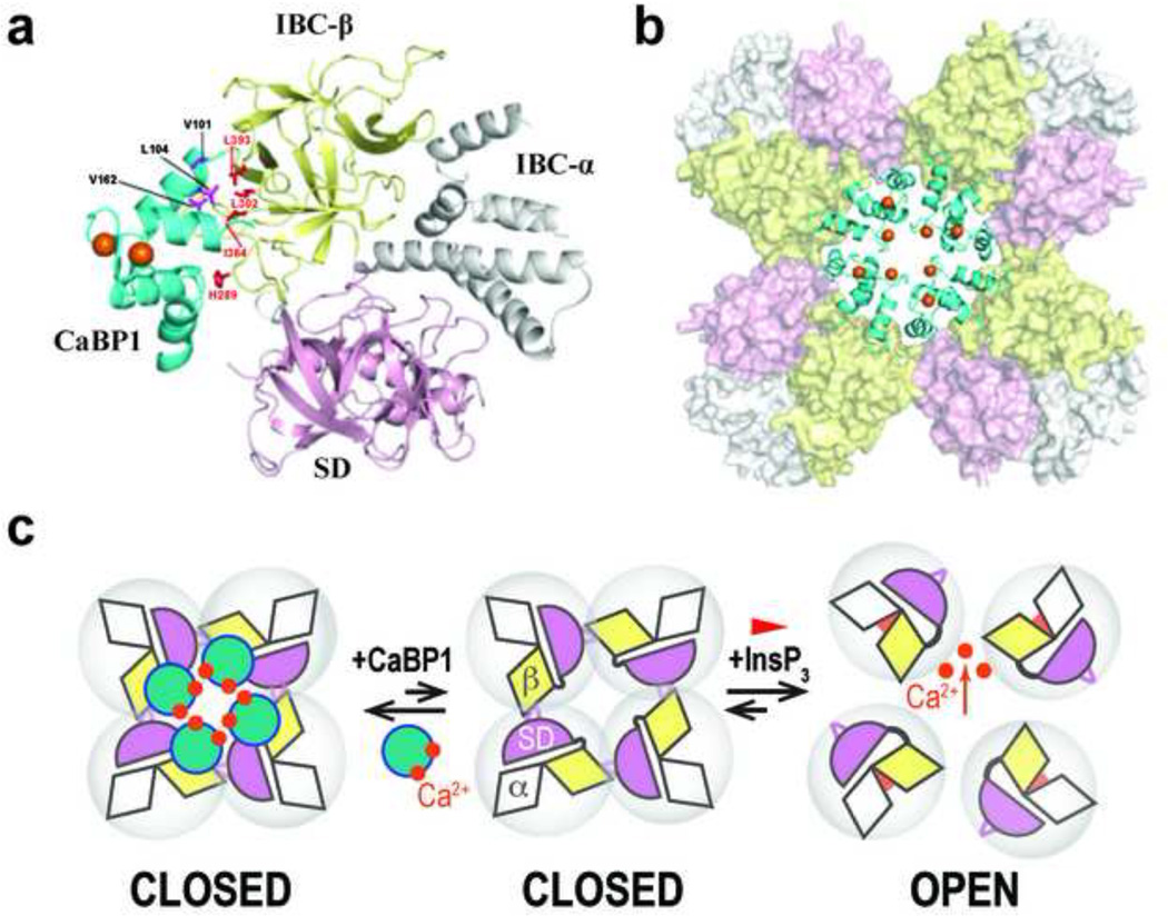 Figure 4