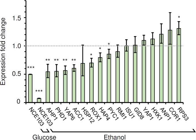 FIG 3 