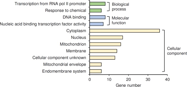 FIG 2 