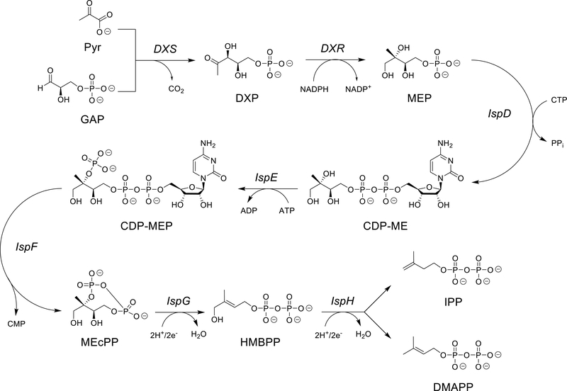 Figure 2.