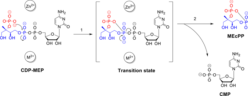 Figure 7.