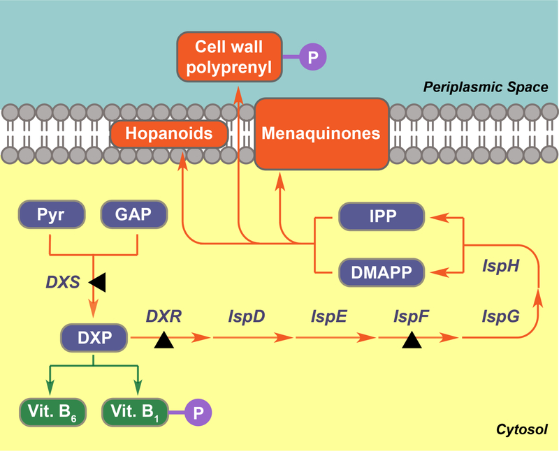 Figure 1.