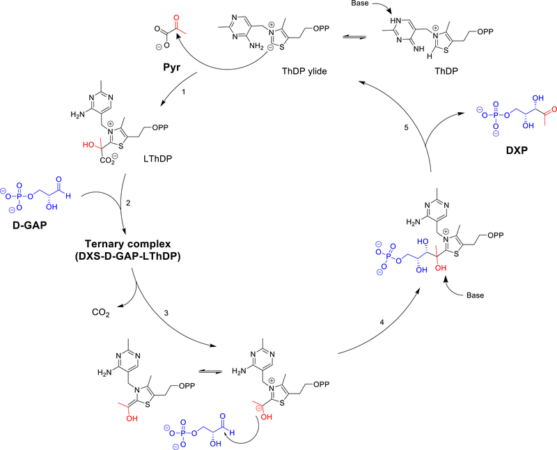 Figure 3.