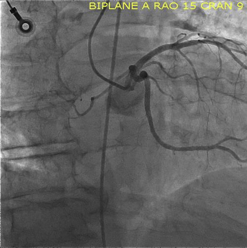 Figure 7