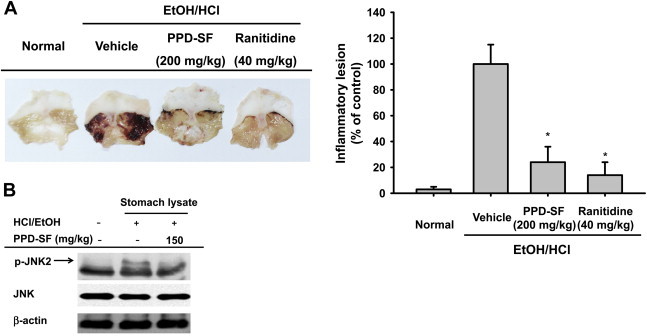 Fig. 4