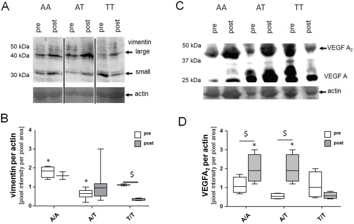 Fig 7