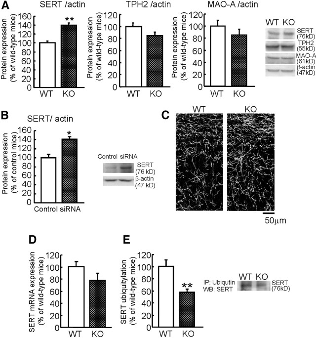 Figure 12.