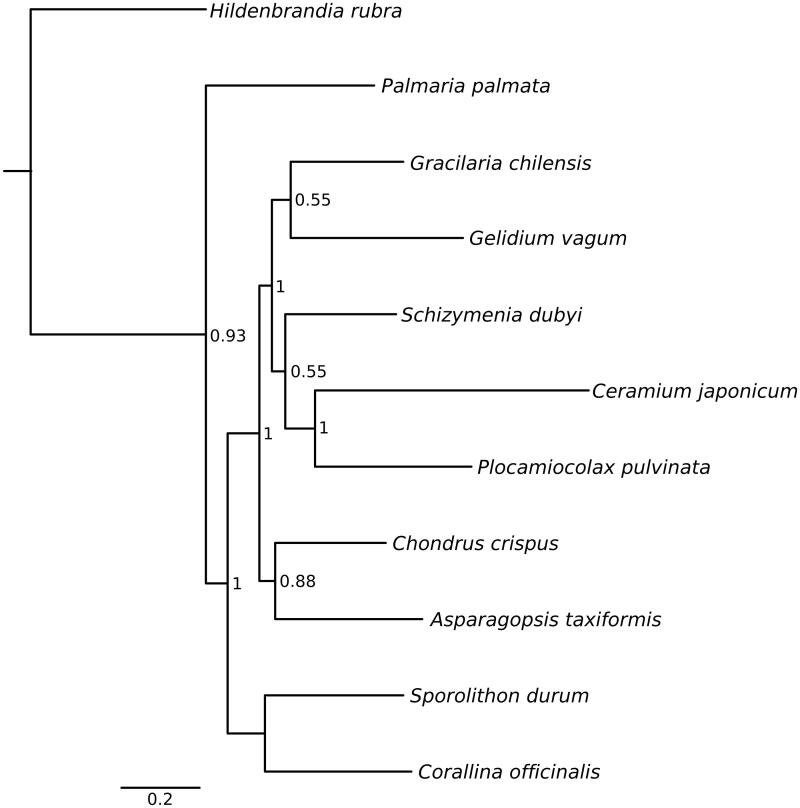 Figure 1.