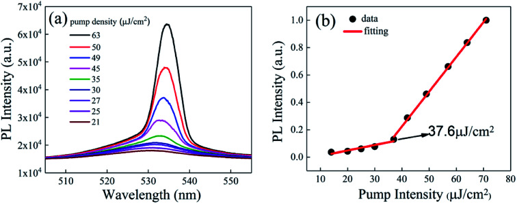 Fig. 10