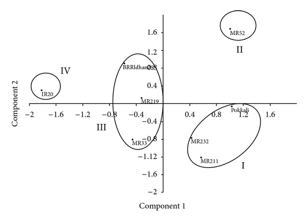 Figure 6