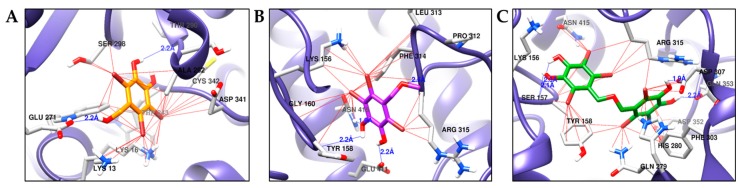 Figure 6