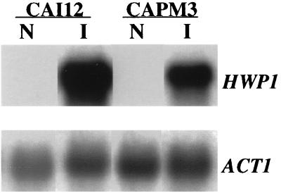 FIG. 7