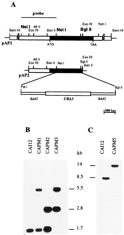 FIG. 3