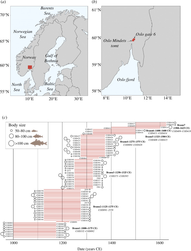 Geographical location of the archaeological Atlantic cod specimens collected from two archaeological sites