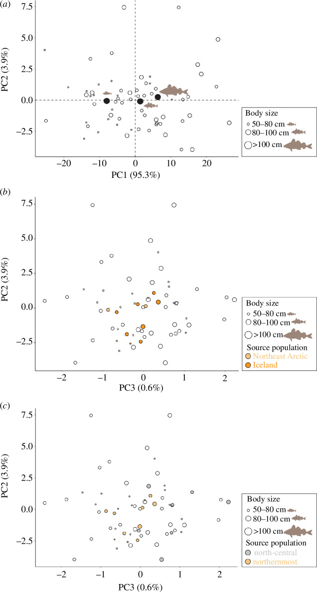 Principal component analysis (PCA) for carbon (δ13C), nitrogen (δ15N), non-exchangeable hydrogen (δ2H) and sulphur