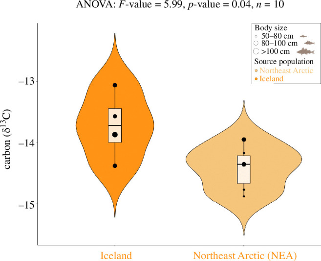 Differences in carbon (δ13C) values across specimens with a binary assignment to genetically inferred source populations