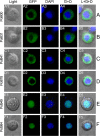 FIG 3