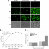 FIG 6
