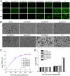 FIG 2