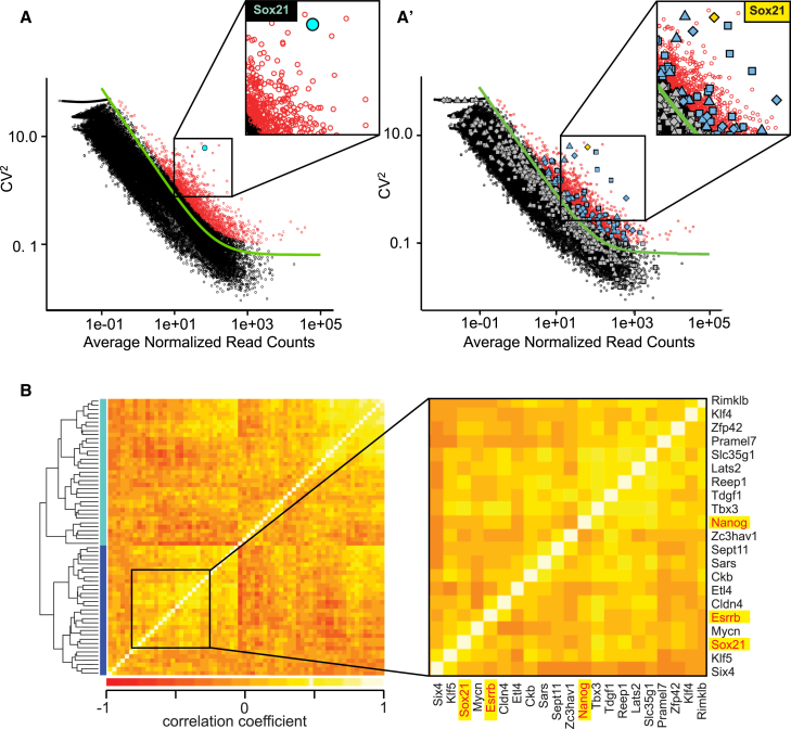 Figure 2